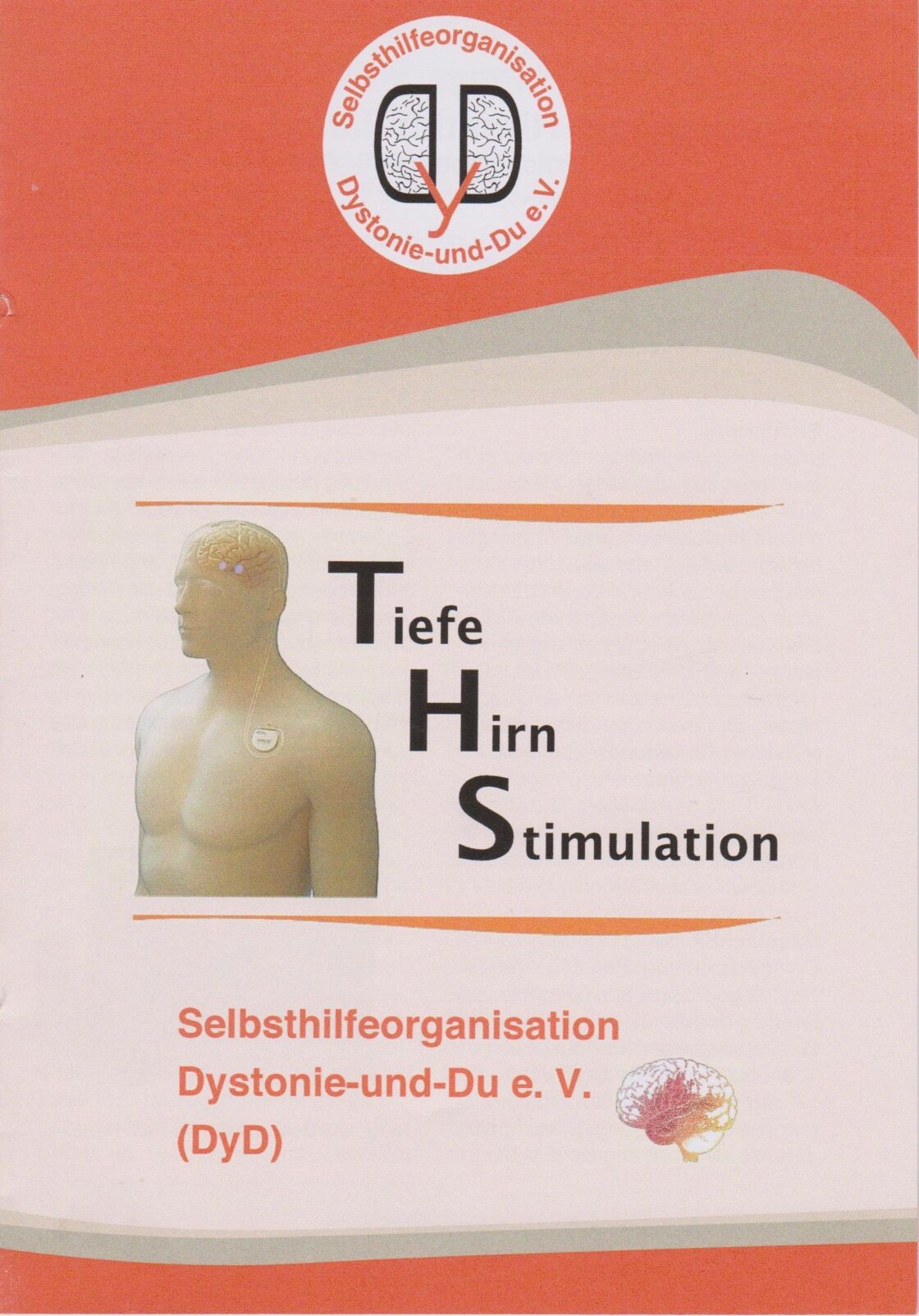 Broschüre THS von DyD